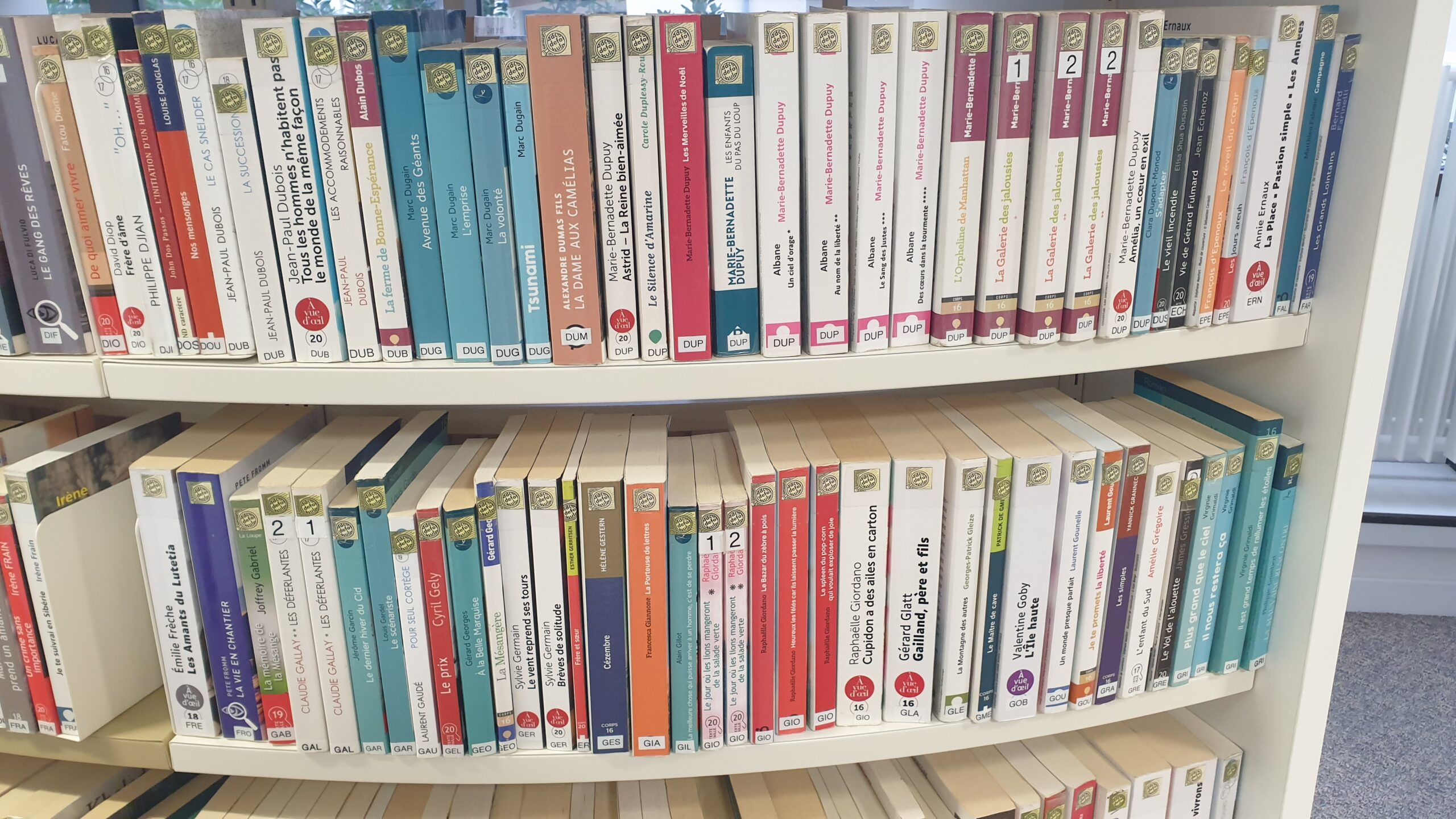 Deux étagères d'une bibliothèque de livres divers.
