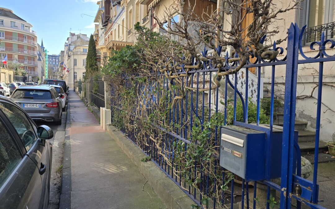 Rue Alquié