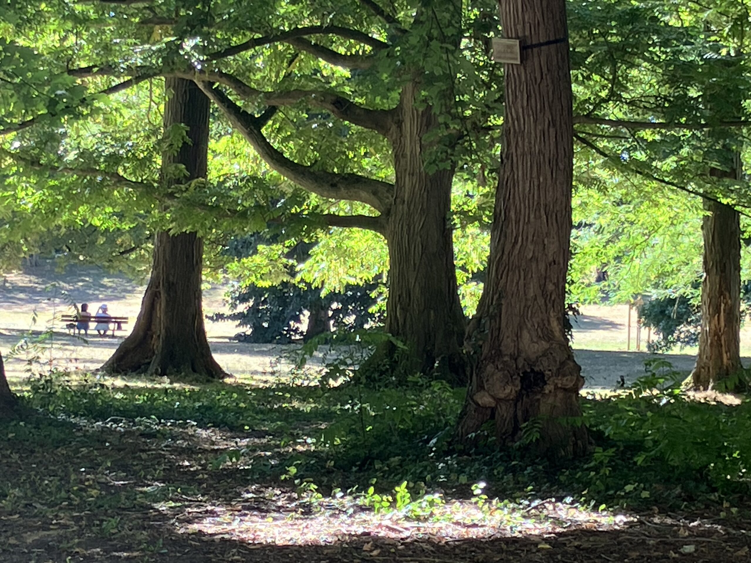 Parcs Napoléon III Vichy