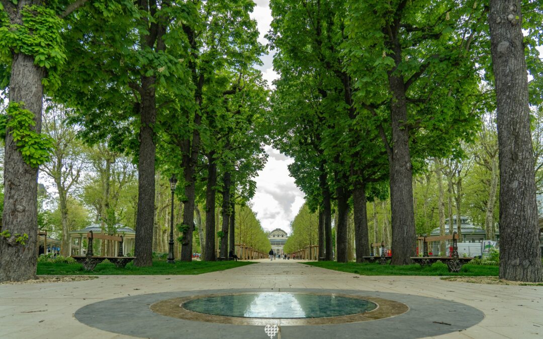 Le Parc des Sources