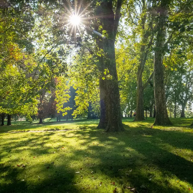 Parcs Napoléon III Vichy