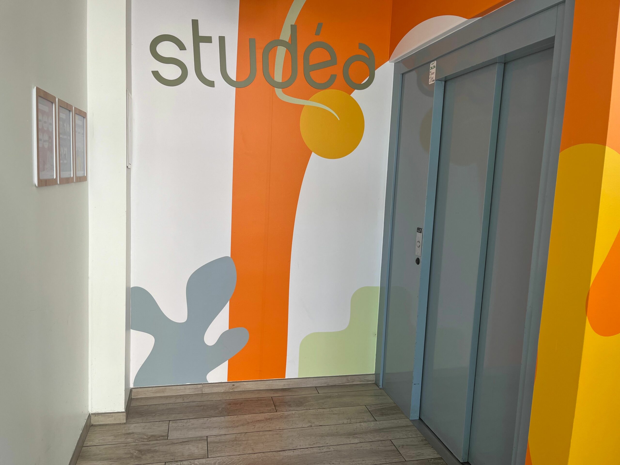 Studea CF