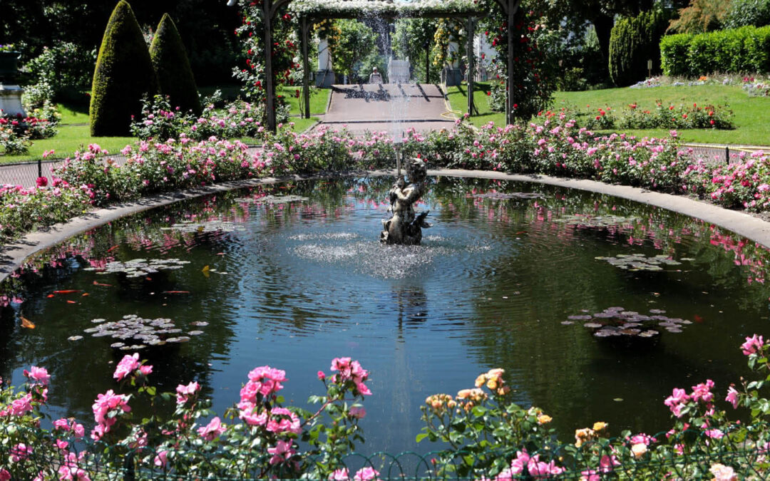 Jardin Lecoq